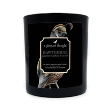 Load image into Gallery viewer, HAWTHORNE | JASMINE SAMBAC & CASSIS | RAVEN CANDLE