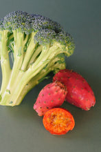 Load image into Gallery viewer, QUEEN OF THE NIGHT Facial Oils